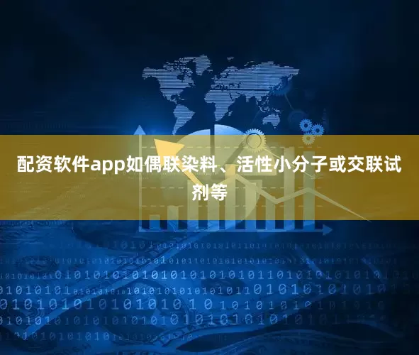 配资软件app如偶联染料、活性小分子或交联试剂等