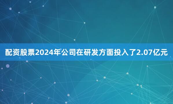 配资股票2024年公司在研发方面投入了2.07亿元