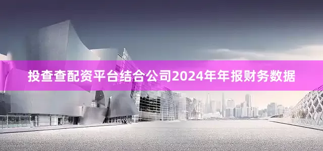 投查查配资平台结合公司2024年年报财务数据