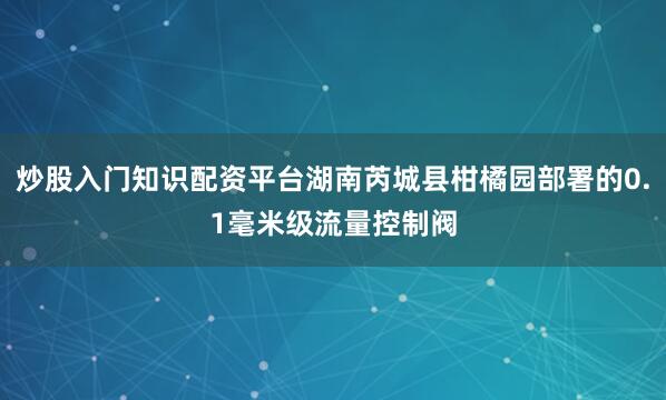 炒股入门知识配资平台湖南芮城县柑橘园部署的0.1毫米级流量控制阀