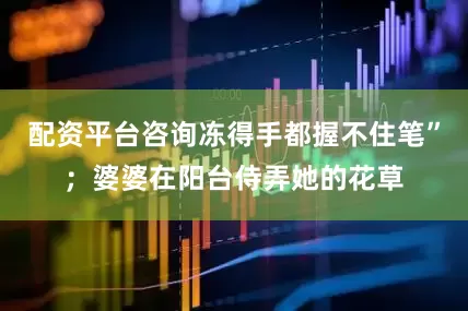配资平台咨询冻得手都握不住笔”；婆婆在阳台侍弄她的花草