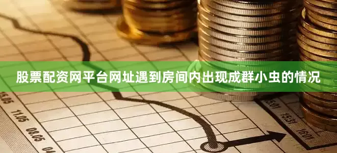 股票配资网平台网址遇到房间内出现成群小虫的情况