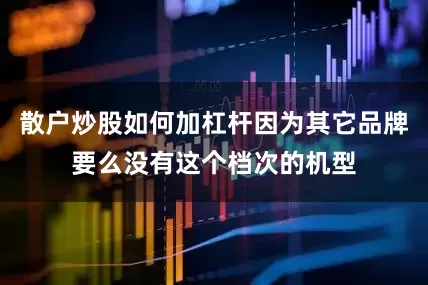 散户炒股如何加杠杆因为其它品牌要么没有这个档次的机型